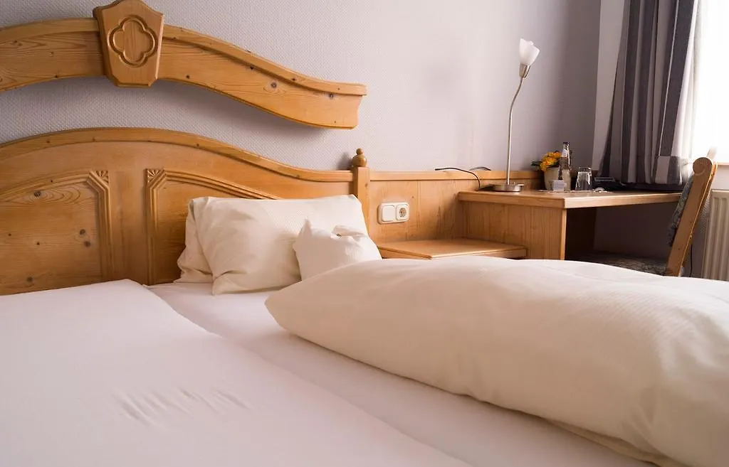 Hotel Schweizer Haus-1